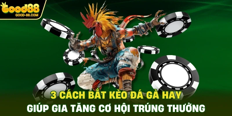 3 Cách Bắt Kèo Đá Gà Hay Giúp Gia Tăng Cơ Hội Trúng Thưởng