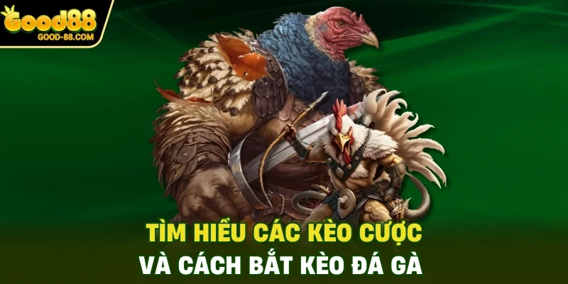 Tìm hiểu các kèo cược và cách bắt kèo đá gà
