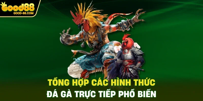 Tổng hợp các hình thức đá gà trực tiếp phổ biến